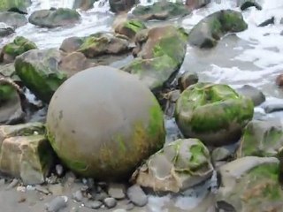 Moeraki boulders