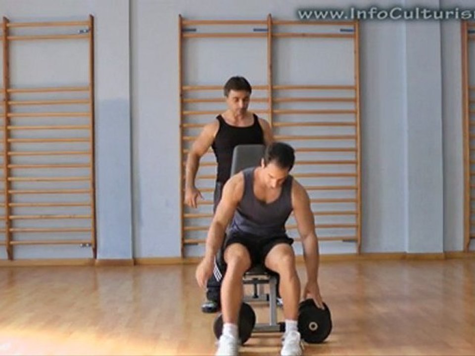 Press de hombros con mancuernas - InfoCulturismo.com