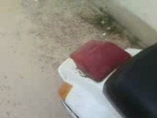 vespa fabriqué en 1980 zorda sidi alwan mahdia tunisie