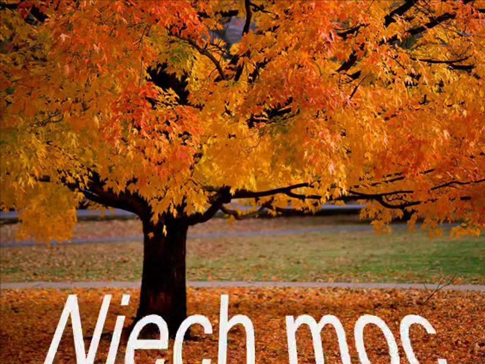 Konkurs HTC 7 Mozart z Windows Phone