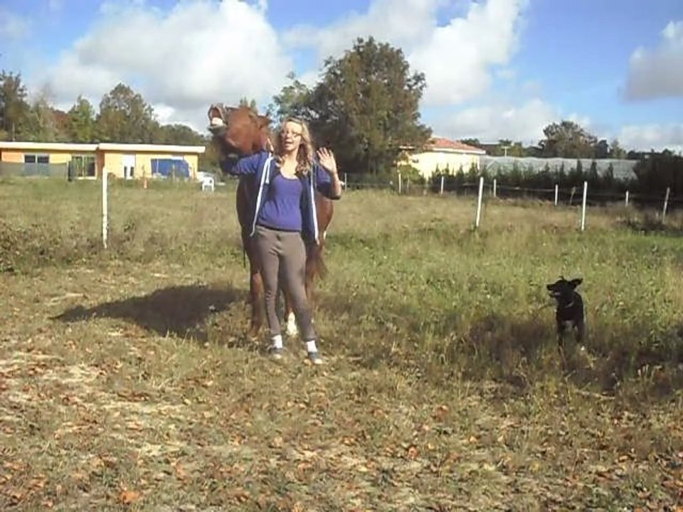 Reculer + Apprentissage du Bisou ! :)