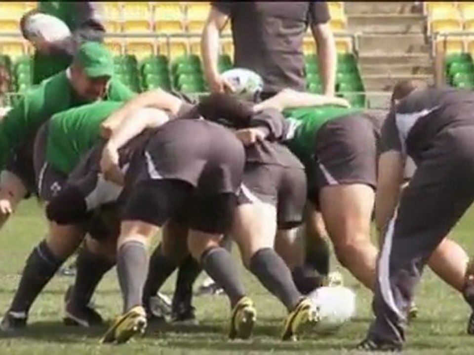Rugby WM - Wales im Halbfinale