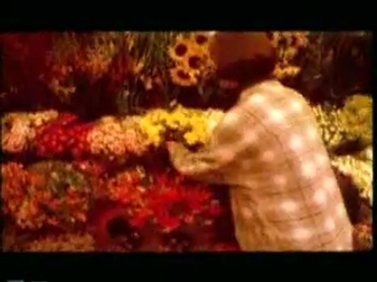 DJ Bobo - Love Is All Around