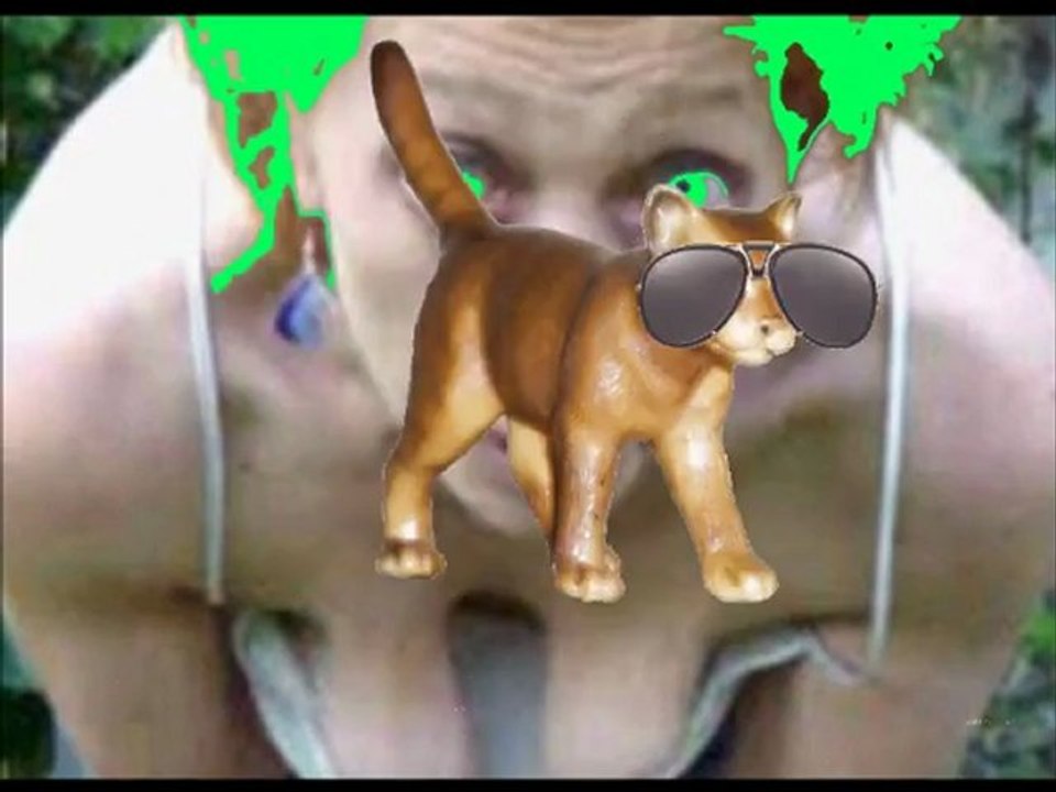 MeowMeowMeowSongSongSong featuring Crabs the Spay Paint Huffing Feline