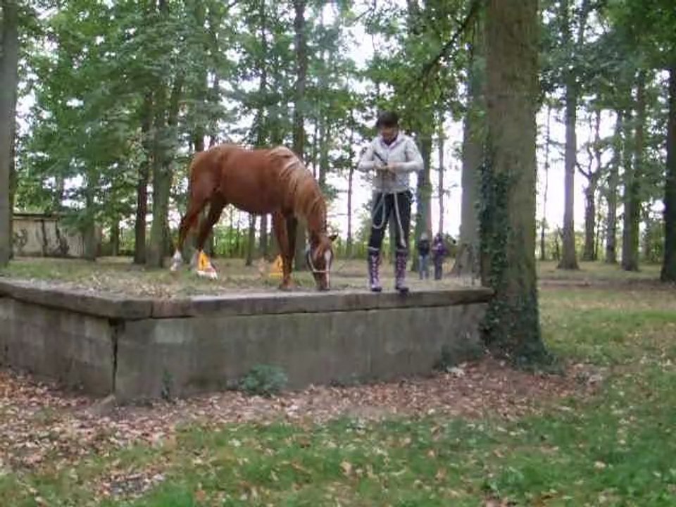 entraînement contrebas haut