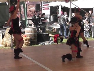 00015 festival de country à surgères