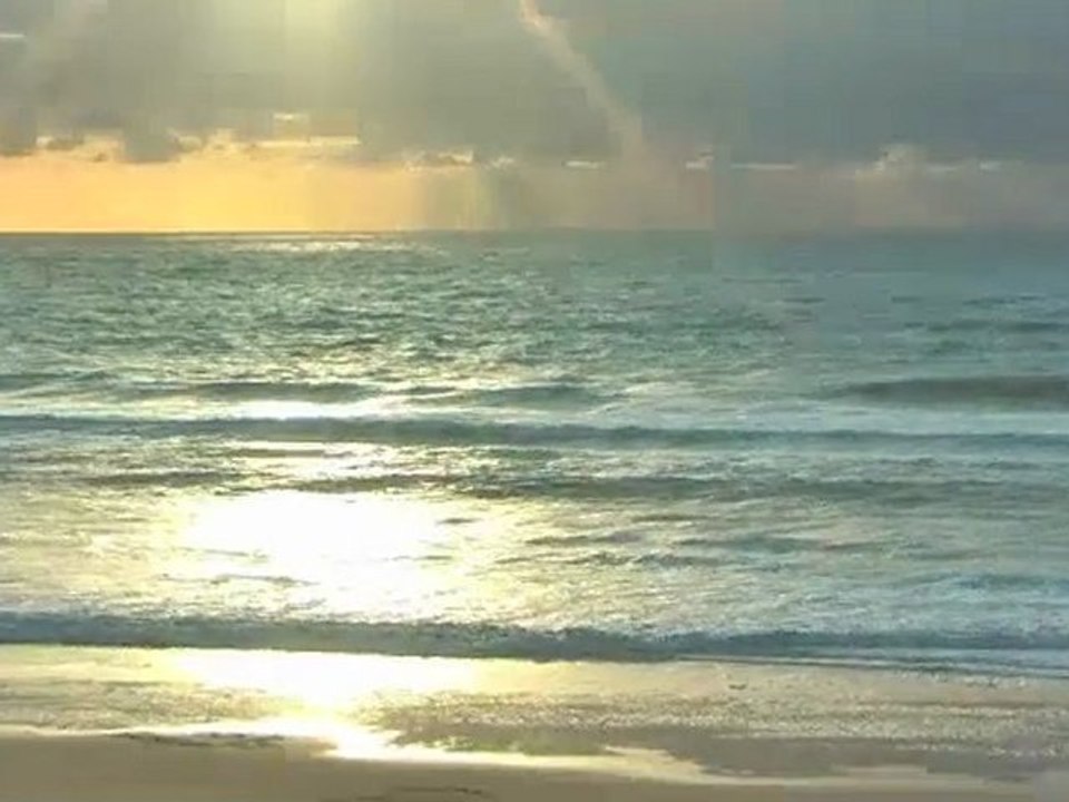 Samedi 08 Octobre - Report vidéo 19H30