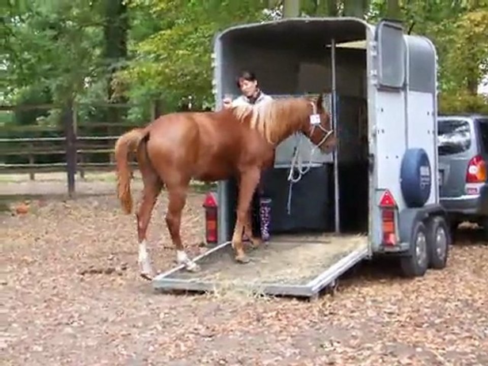 sortie du van