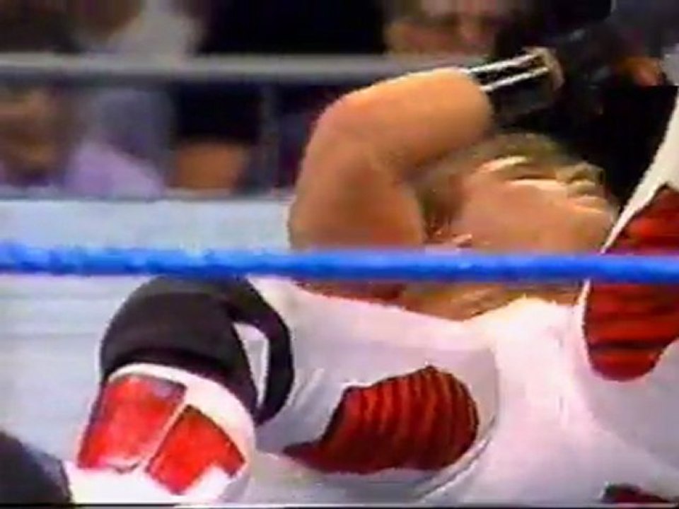 Mr.WrestleMania.Bret.hart.vs.Shawn.Michaels.Ladder.Match.92