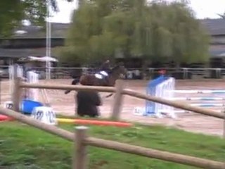 BOISSY SOUS SAINT YON II