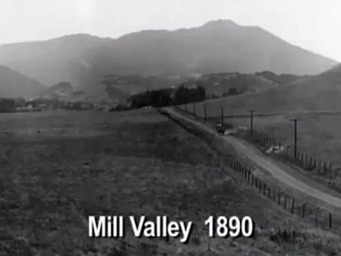 Wedding Videographer Mill Valley - Mill Valley Wedding Videographer