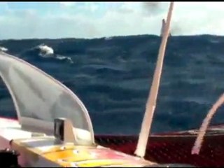 2009 : 16 novembre. Aux trousses de Safran