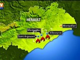150 hectares de garrigue brûlés dans l'Hérault