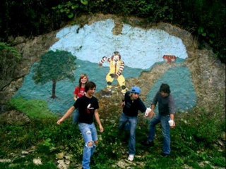 paramore before riot