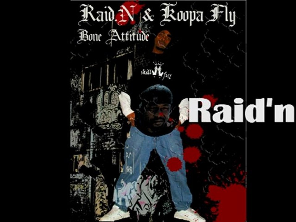 Raid'n Koopa -Fly sur une page