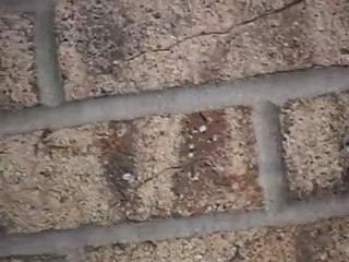 Peekaboo EViLDeD! LMFAO