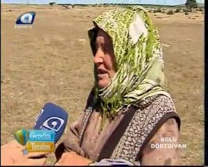 DÖRTDİVAN Gezelim Tozalım-10