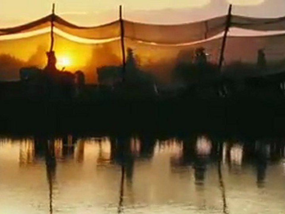 War Horse