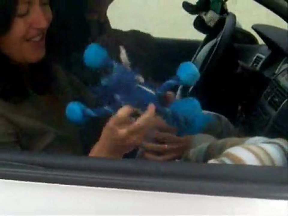 Départ de Galahan -2011-10-08. (CHEYENNE de SAINT QUINIS X UCELLO du DOLON / Portée des "G" 2011)