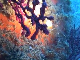 Studio d'enregistrement vidéo, sonorisation, concert.