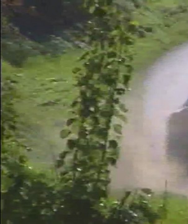 Le Rallye Mauves Plats 2011