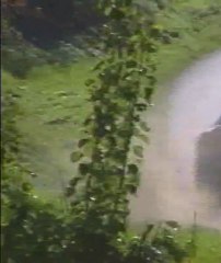 Le Rallye Mauves Plats 2011