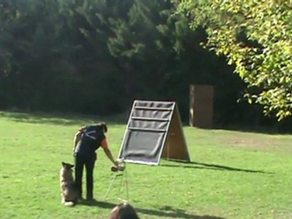 Schriefl-Cassandre-Belgiersieger-2011-UO