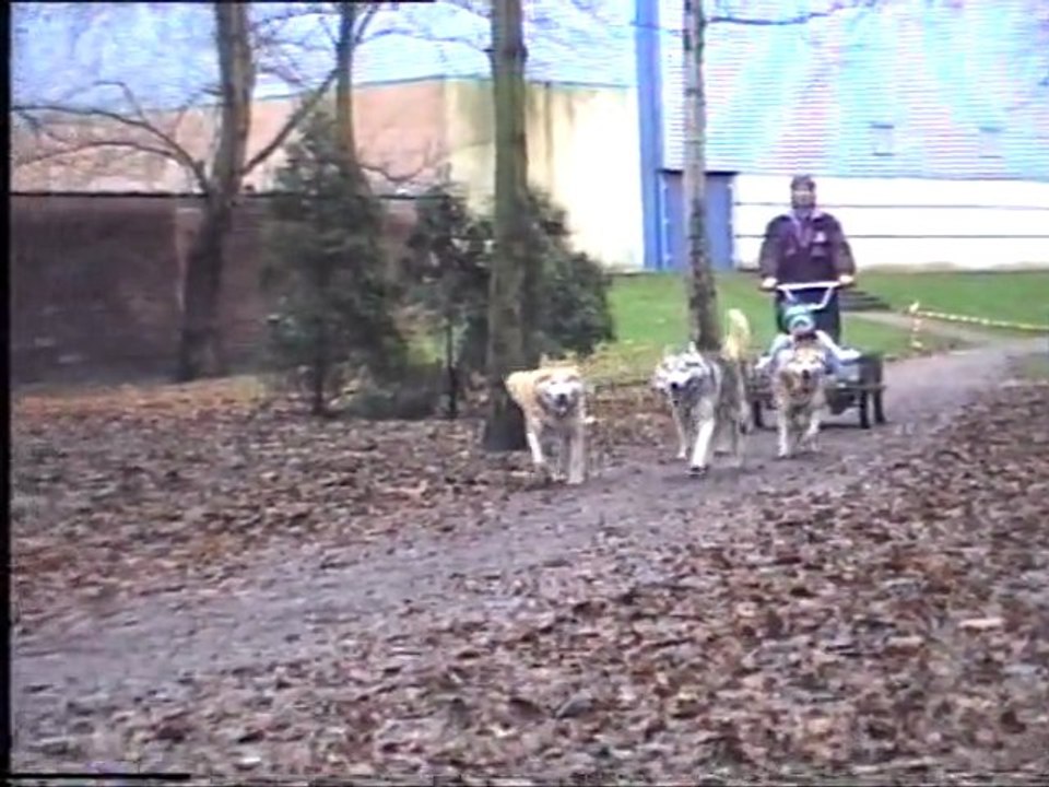 1995.12 Démo à Fâches thumesnil