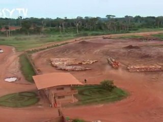 Exploitation de la forêt primaire au Congo...