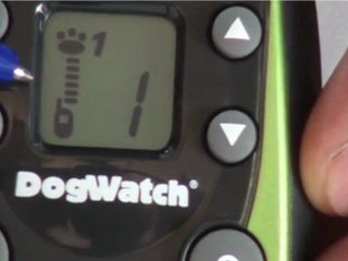 How to Train a Dog Using a Remote Trainer?