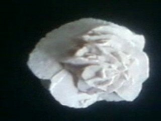 rose de sable recharcha ksour essaf mahdia tunisie