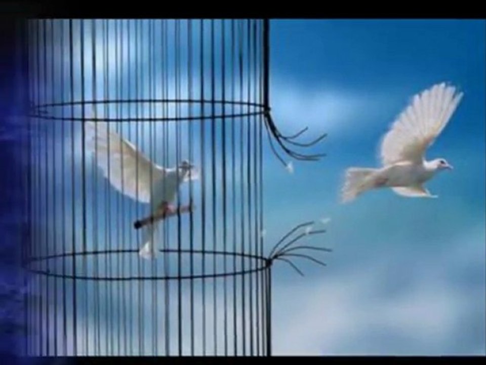 Sans Titrecourage et espoir