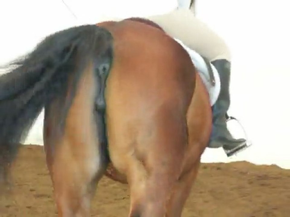 Concours-école Tournesols 026