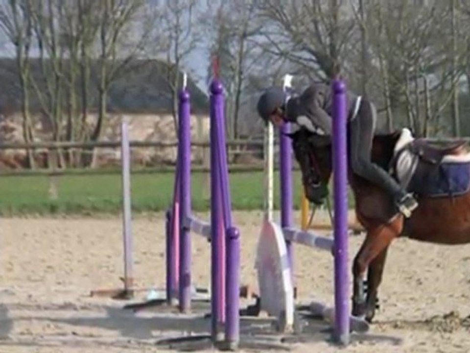 Bêtisier du Shamrock n°3