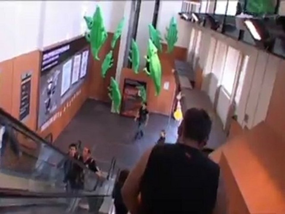 Festival JTC 2011 - Coqalane et My Dark Project au Forum FNAC Nancy