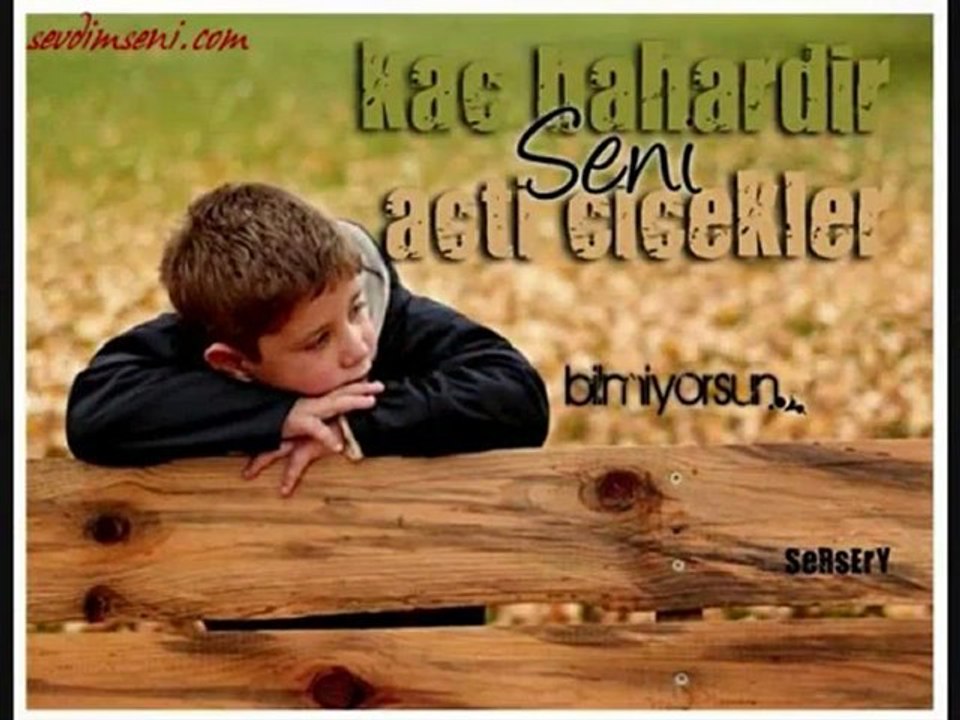 ARDIÇ - BİZİ AYIRANLAR UTANSIN