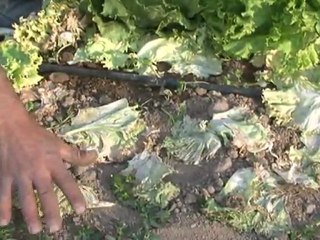 DJ ŞEKEROĞLAN MARULCU İSMAİL RÖPÖRTAJ