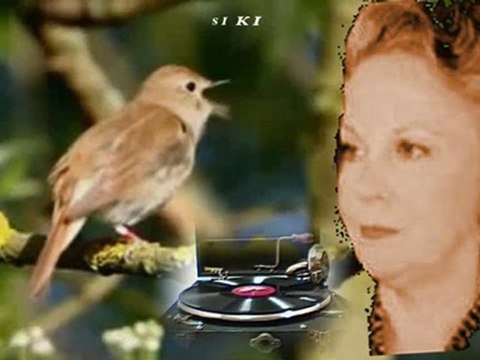 Meral Uğurlu - Hüsnüne mail gönlüm ezelden.HD