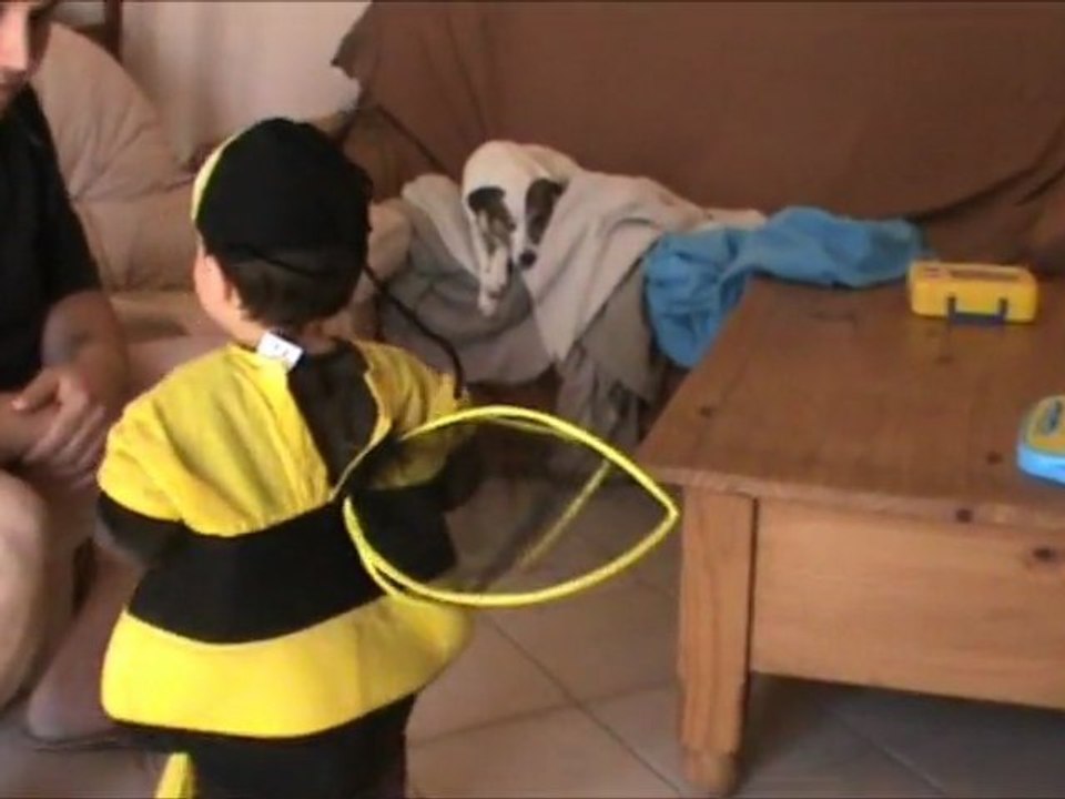 Ma petite abeille
