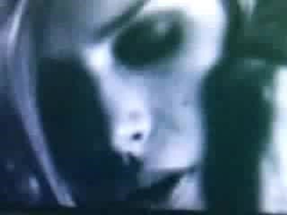 Elodie Frégé, La ceinture, cut