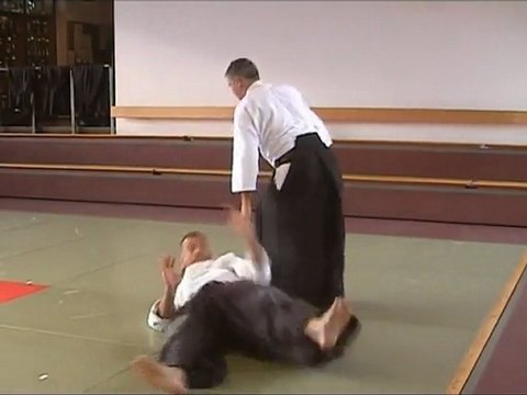 Gyaku-hanmi Katate-Dori Shiho-Nage Ura