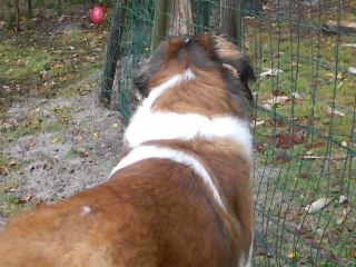 mon gros  d amour !!!!