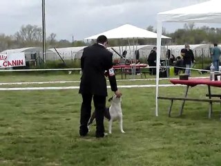 Enjoy RE CFABAS Puget 2010 BOB-J, BOS, BOB, R-BIS