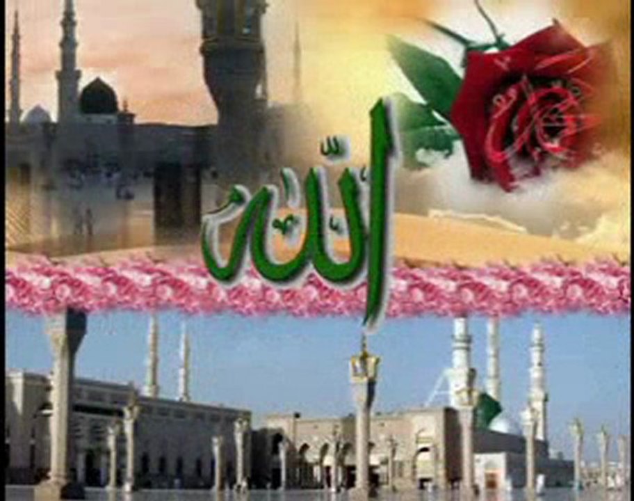 Affeyle Allah - Celaleddin ADA seyfislam.com