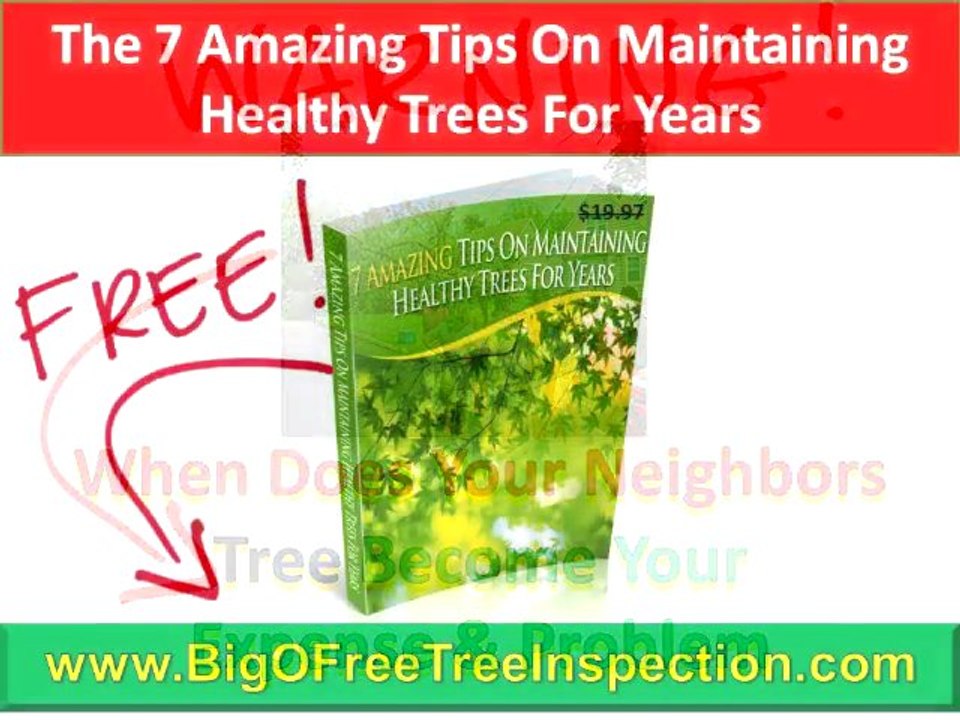 Charlottesville Tree Care|FREE Tree Hazard Inspection