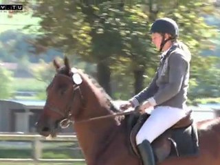 Présentation des chevaux de 3 ans