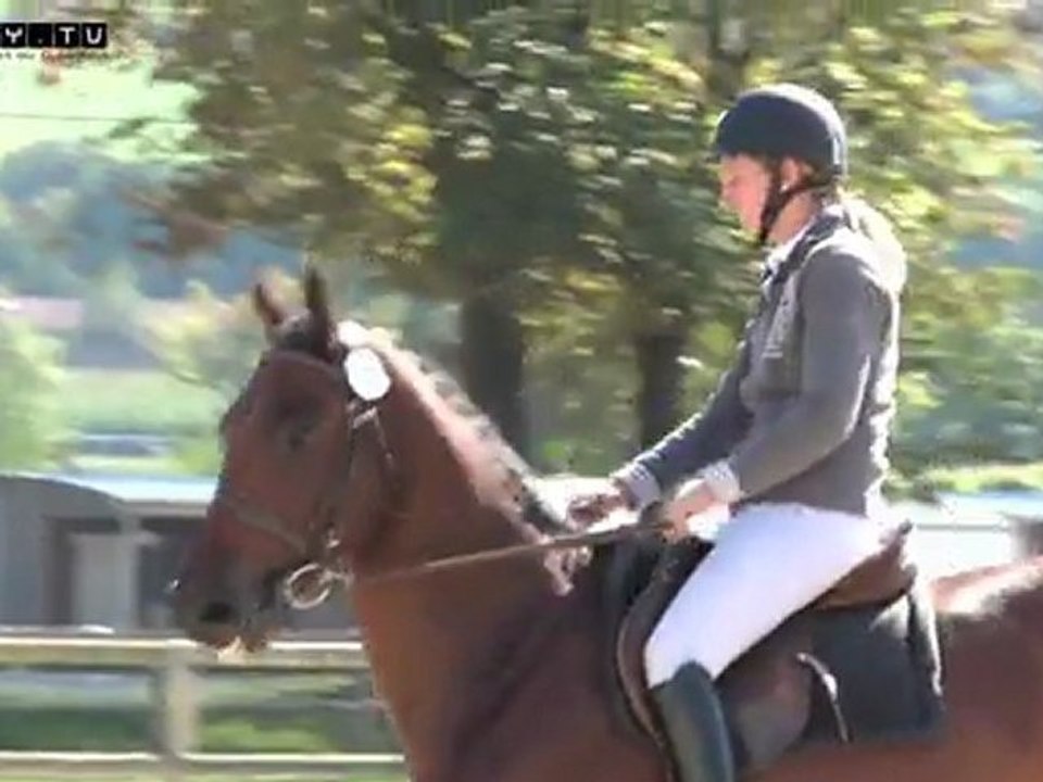 Présentation des chevaux de 3 ans