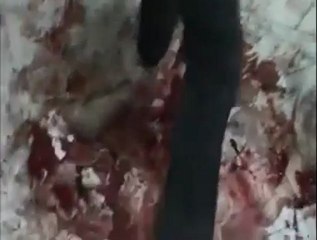 Les manifestants coptes morts à l’hôpital après les affrontements avec l'armée