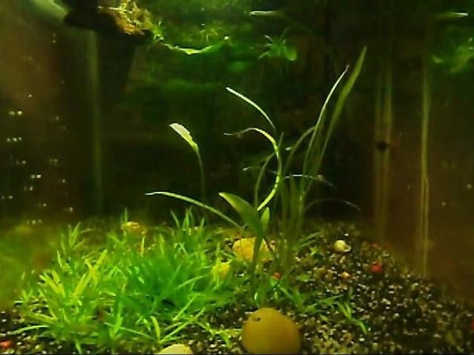 3 minutes dans 54 litres d'eau douce à 23° celsius