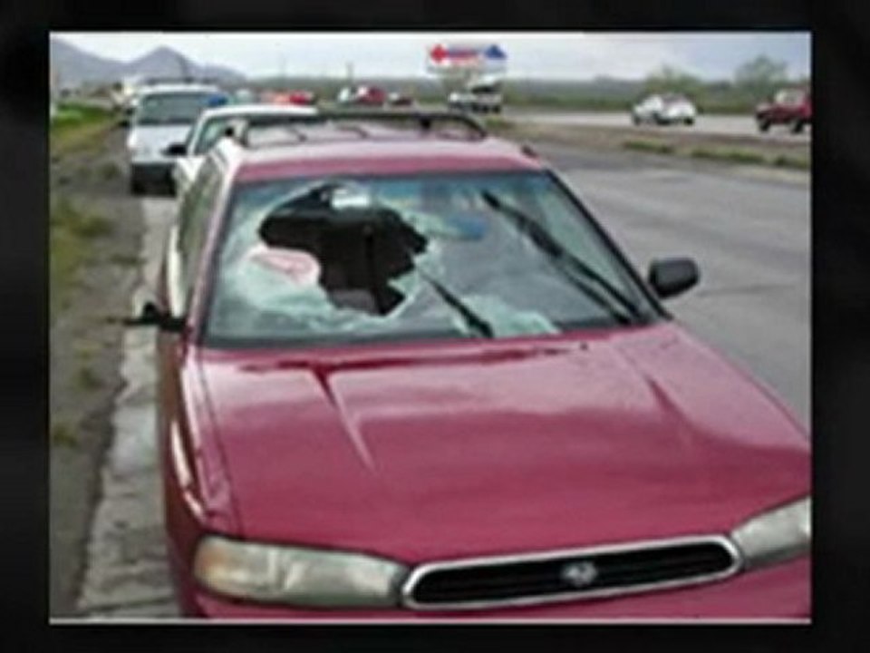 30411  windshield replacement